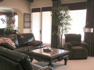 Living Room with Brown Leather Chairs and a large plant