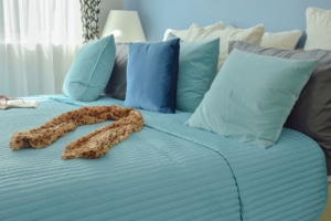 Bed with blue and Teal pillows and brown scarf